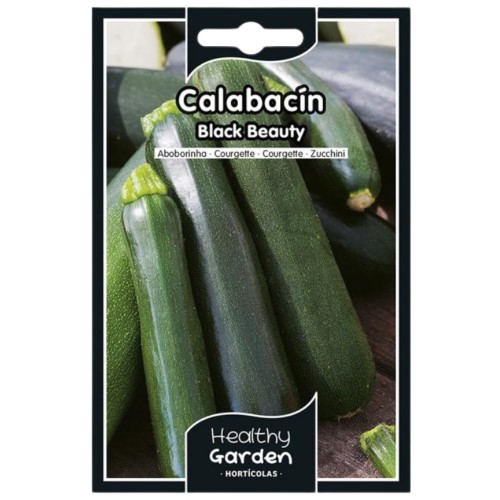 Pacote de Sementes - Curgete Black Beauty