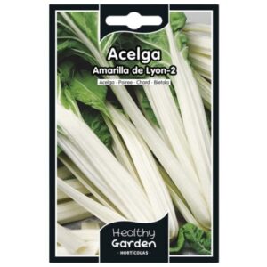 Pacote de Sementes - Acelga Amarela Lyon 2