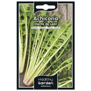 Pacote de Sementes - Chicória Dente-de-Leão