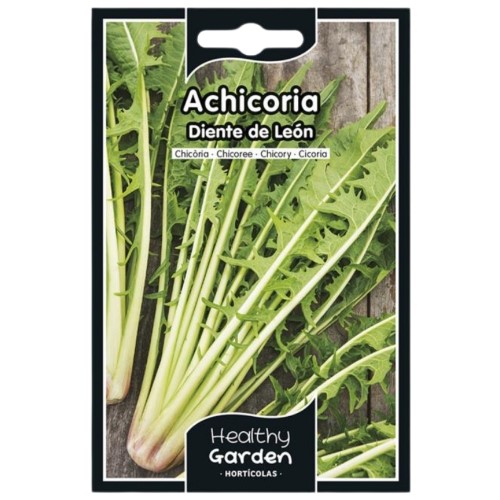 Pacote de Sementes - Chicória Dente-de-Leão