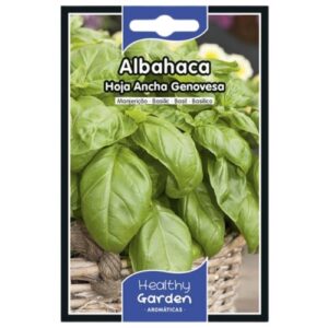 Pacote de Sementes - Manjericão Folha Larga