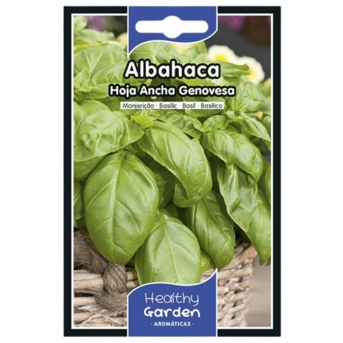 Pacote de Sementes - Manjericão Folha Larga