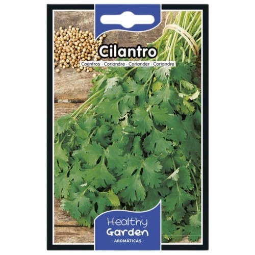 Pacote de Sementes - Coentros