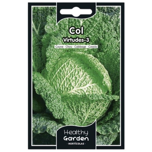 Pacote de Sementes - Couve Milan Virtudes