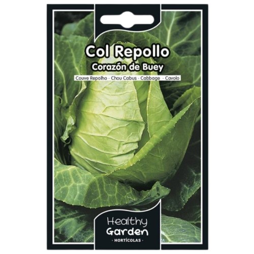 Pacote de Sementes - Couve Coração de Boi