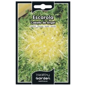 Pacote de Sementes - Escarola Cabelo de Anjo
