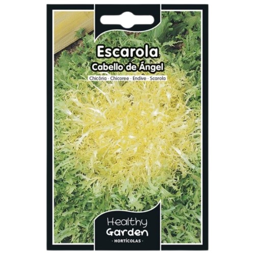 Pacote de Sementes - Escarola Cabelo de Anjo