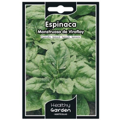 Pacote de Sementes - Espinafre Viroflay