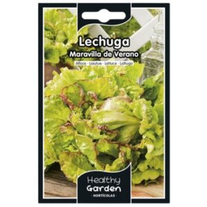 Pacote de Sementes - Alface Maravilha Verão