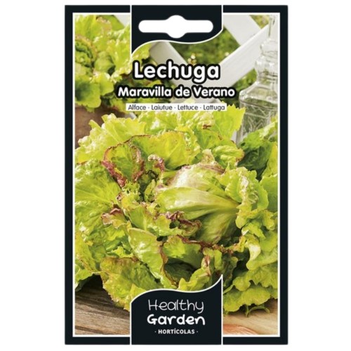 Pacote de Sementes - Alface Maravilha Verão