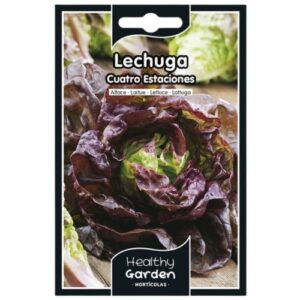 Pacote de Sementes - Alface Quatro Estações