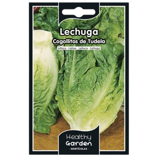 Pacote de Sementes - Alface Pequenos Corações