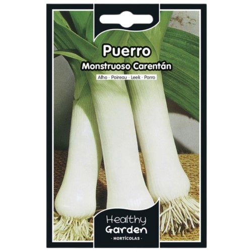 Pacote de Sementes - Alho-Francês Carentan