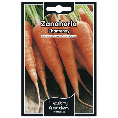 Pacote de Sementes - Cenoura Chantenay