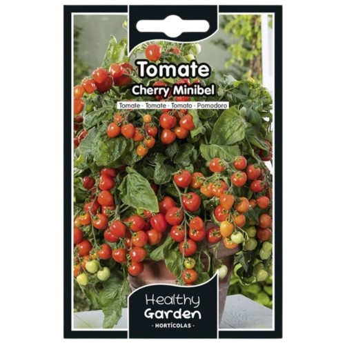 Pacote de Sementes - Tomate Cherry Minibel