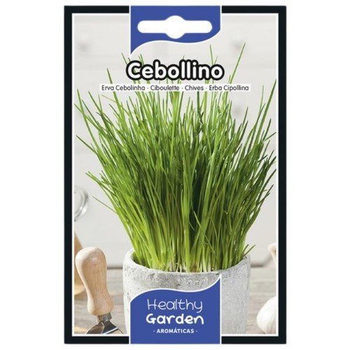 Pacote de Sementes - Cebolinho