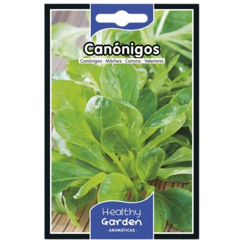 Pacote de Sementes - Valeriana Canónigos