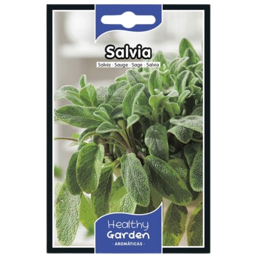Pacote de Sementes - Sálvia