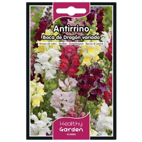 Pacote de Sementes - Boca-de-Dragão