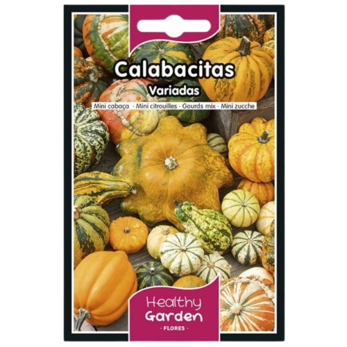 Pacote de Sementes - Abóboras Ornamentais