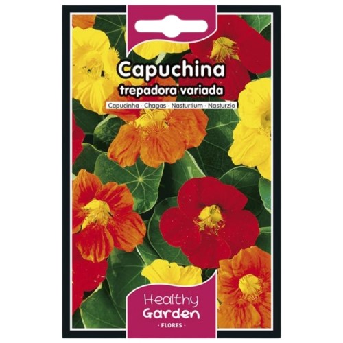 Pacote de Sementes - Capuchinha Trepadeira