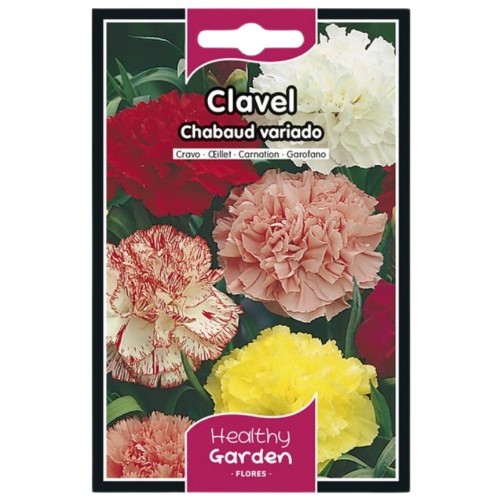 Pacote de Sementes - Cravo Chabaud Variado