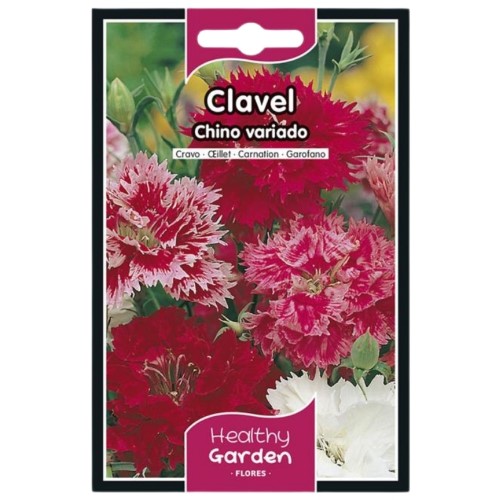 Pacote de Sementes - Cravo Chinês