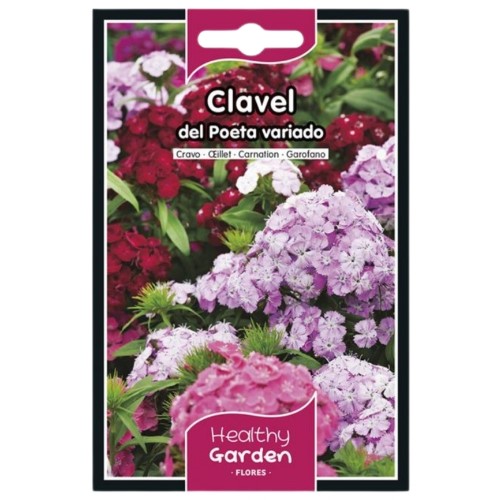 Pacote de Sementes - Cravo do Poeta