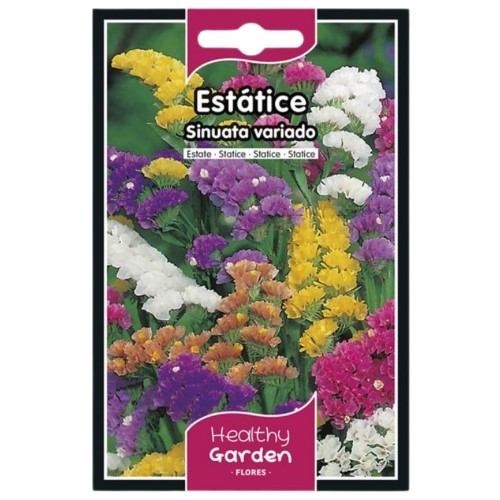 Pacote de Sementes - Estátice Sinuata