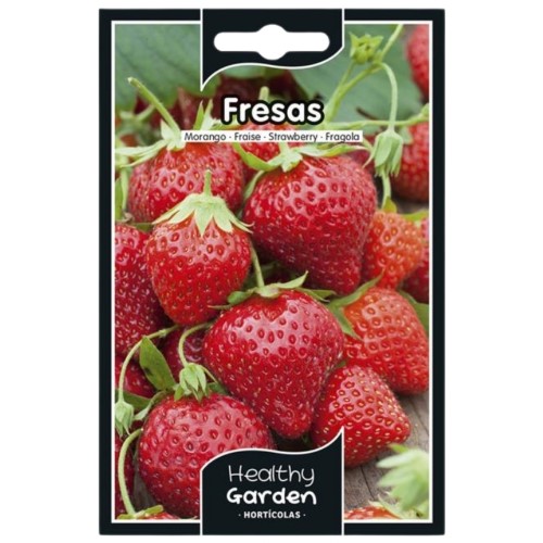 Pacote de Sementes - Morangos