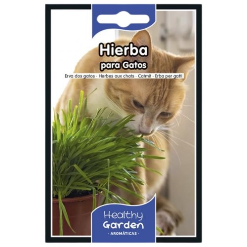Pacote de Sementes - Erva para Gatos