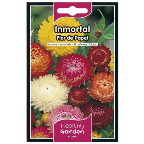 Pacote de Sementes - Flor de Papel Imortal