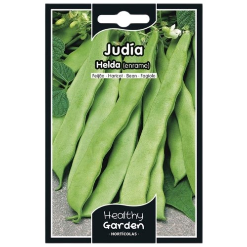 Pacote de Sementes - Feijão Helda
