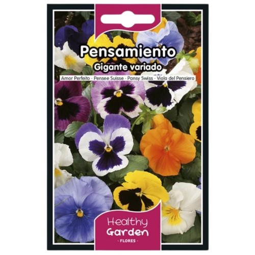 Pacote de Sementes - Amor-Perfeito Gigante