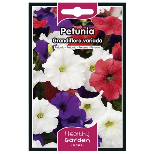 Pacote de Sementes - Petúnia Grandiflora