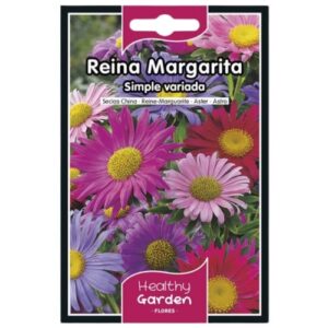 Pacote de Sementes - Rainha Margarida Simples