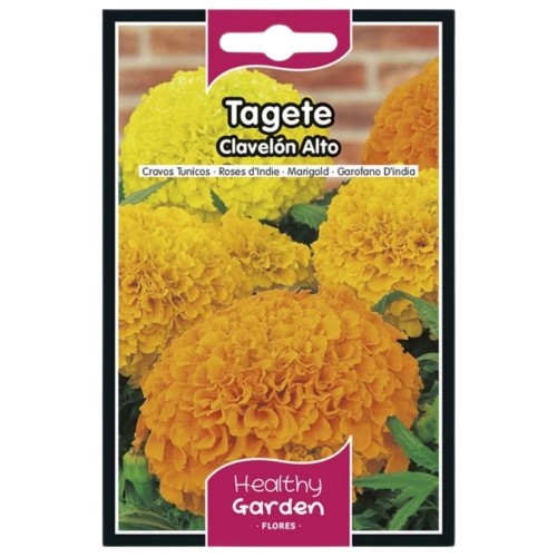 Pacote de Sementes - Cravo-Túnico Alto