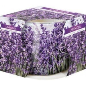 Vela perfumada em copo de vidro decorada com flores, aroma de lavanda.