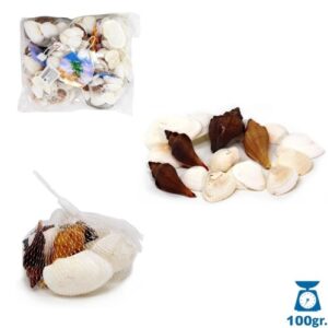 Conjunto de conchas naturais decorativas em várias cores sobre superfície neutra