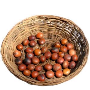 Amuleto Semente Olho de Boi