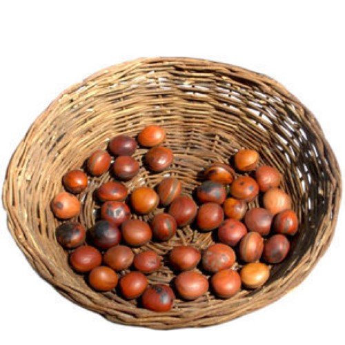 Amuleto Semente Olho de Boi