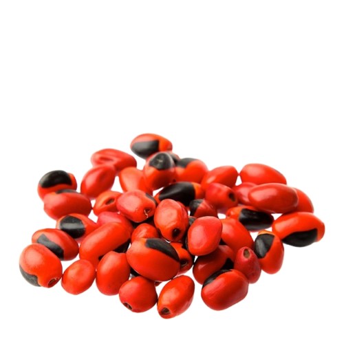 Amuleto Semente Olho de Cabra