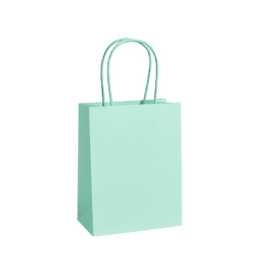 Saco de Papel Colorido com Asas Torcidas 11x6x15cm - Verde