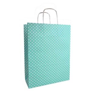 Saco de Papel Colorido com Asas Torcidas 24x11x32cm - Verde