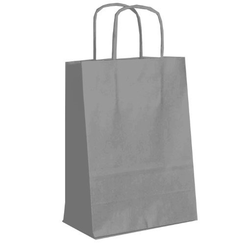 Saco de Papel Colorido com Asas Torcidas 24x12x31cm - Prateado