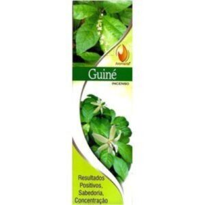Incenso Aromarte em Vareta Guiné - embalagem verde com folhas