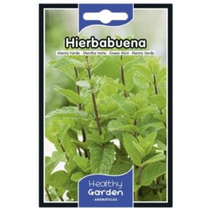 Pacote de sementes de hortelã-pimenta fresca