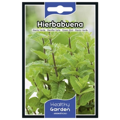 Pacote de sementes de hortelã-pimenta fresca