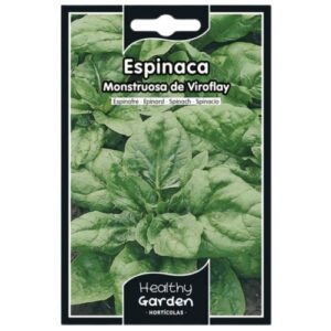 Pacote de Sementes de Espinafre Viroflay