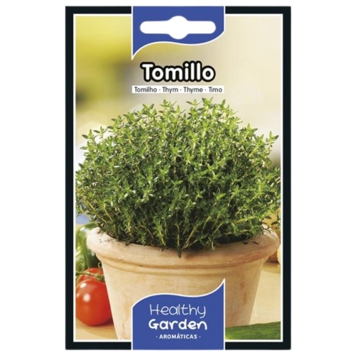 Pacote de Sementes de Tomilho em vaso